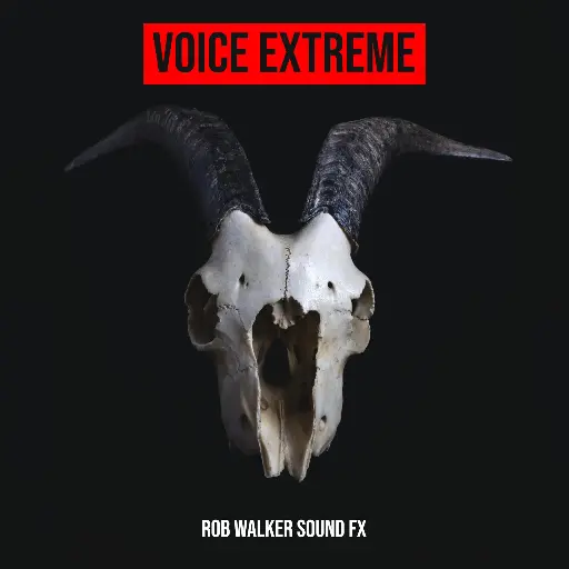 VOICE EXTREME